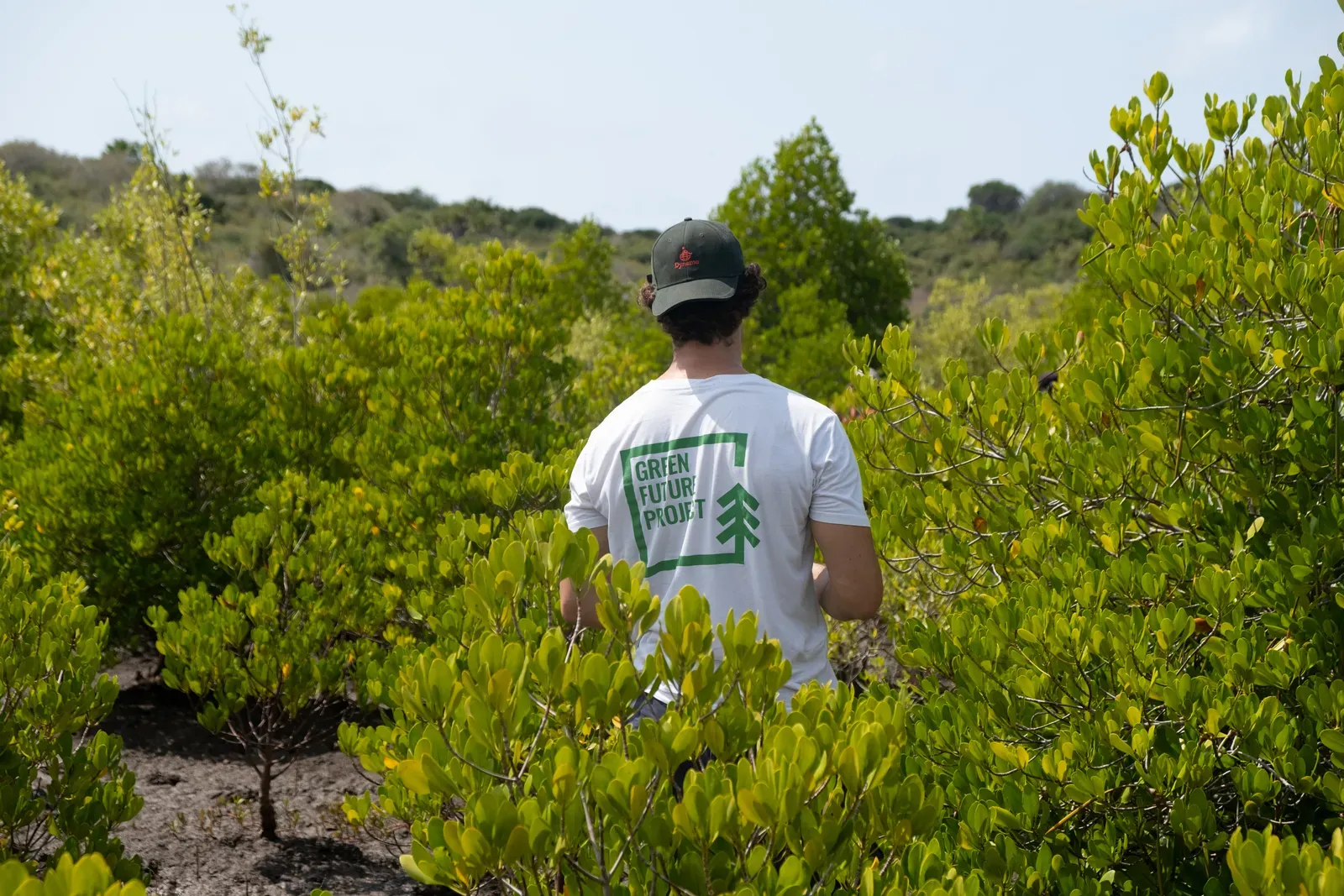 Un membro del team Green Future Project tra le mangrovie, durante un progetto sul campo