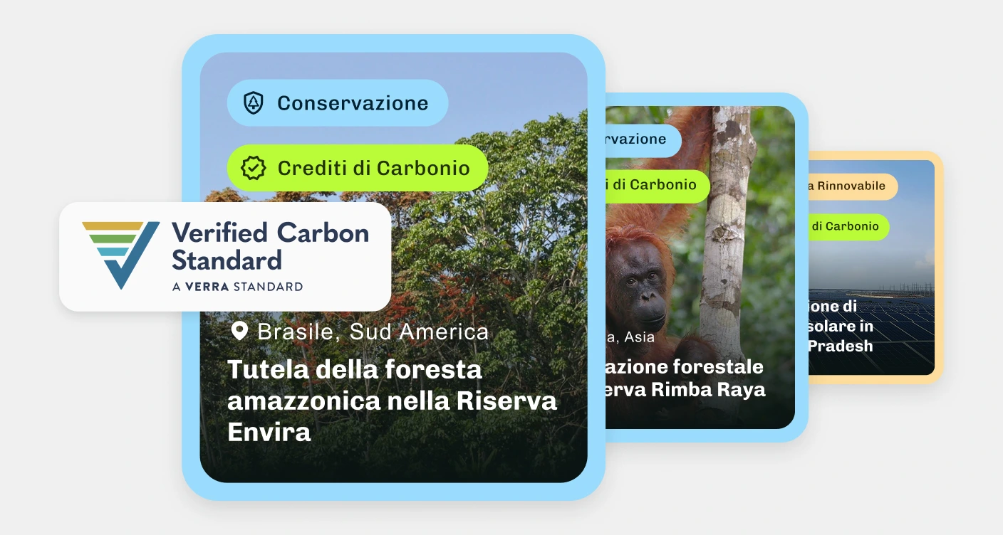 Crediti Di Carbonio