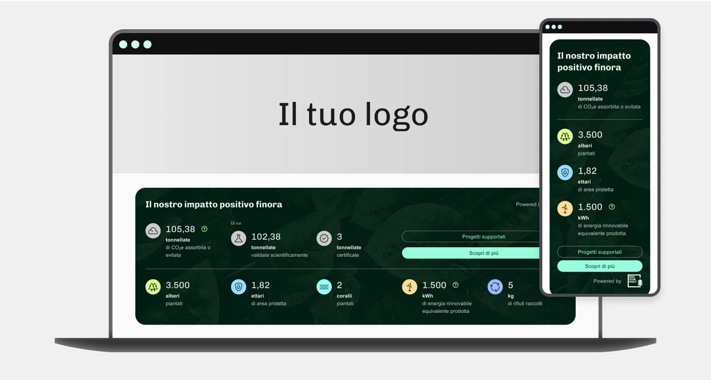 Decarbonizzazione Widget