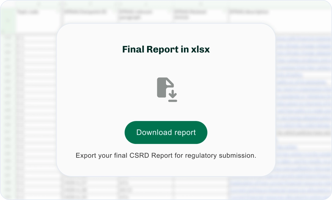 Esrs Standards Report